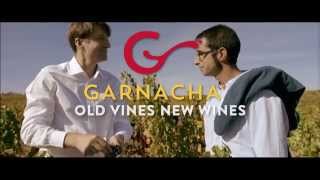 Its time to harvest Garnacha [upl. by Lauder]