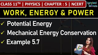 Class 11th Physics  Potential Energy  Conservation of Mechanical Energy  Example 57  Chapter 5 [upl. by Naols864]