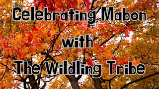 Celebrating Mabon with The Wildling Tribe  The Story of Mabon Culhwch and Olwen [upl. by Marva]