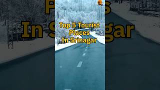 Top 5 tourist places in Srinagar travel kashmirjourney viral shortsvideo [upl. by Triny]