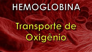 Como a HEMOGLOBINA transporta o oxigênio [upl. by Vijnas659]