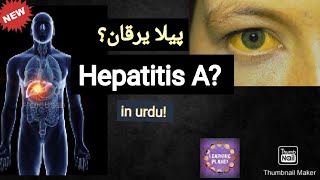 Hepatitis A in urdu hindi پیلا یرقان، symptoms Causes treatment hepatitis hepatitisa [upl. by Eentruok]