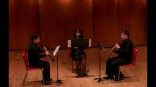 Joseph Friedrich Hummel  Trio for Clarinets [upl. by Hacceber417]