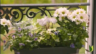 Décorer un balcon avec une jardinière d’hiver  Truffaut [upl. by Caesaria]