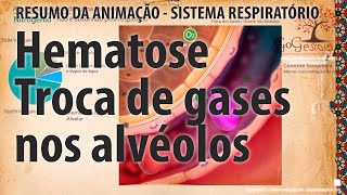 Hematose  Troca de gases [upl. by Haliled26]