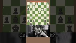 ✨ Brilliant ComboTal Edit✨🔥mikhailtal chess chessgrandmaster [upl. by Shandee]