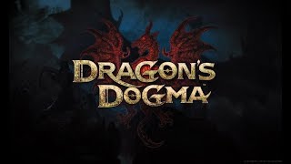 Dragons Dogma Hero AchievementTrophy Guide [upl. by Mackler924]