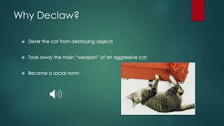 Declawing Onychectomy in Cats An Overview [upl. by Rahr458]