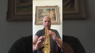 Your music touches my soul lygeros music learning youtubeshorts saxophone viralshorts [upl. by Nnylassej]