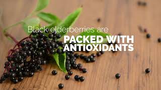 Benefits of Black Elderberry  Sambucol [upl. by Emixam89]