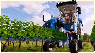 Building A Grape Vineyard From Scratch  Vineyard Farming amp Grape Processing  Farming Simulator 22 [upl. by Jamey]