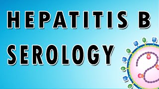 Hepatitis B Serology [upl. by Nnaesor]