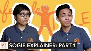 EXPLAINER Part 1 What you need to know about SOGIE [upl. by Dichy]