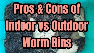 Pros amp Cons of Indoor vs Outdoor Worm Bins [upl. by Currier]