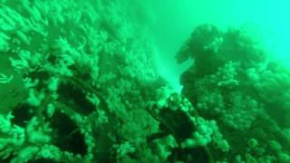 HMS K 17 SUBMARINE WRECK 8 AUG 2014 [upl. by Izawa]