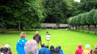 Falconry at Dunrobin Castle [upl. by Rodama]