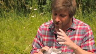 Living in the Stone Age Flint Knapping making flint tools [upl. by Romanas]