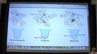 12 Biochemistry Catalytic Mechanisms I Lecture for Kevin Aherns BB 450550 [upl. by Ynahteb]