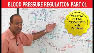 Hypertension  Blood Pressure  Part 14 [upl. by Musser]