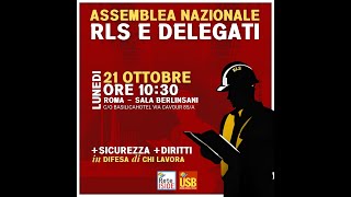 Assemblea nazionale RLS USB la lotta per la sicurezza non ha confine Serve un election day RLS [upl. by Tucky164]