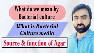 Lec2  Introduction to Bacterial CultureGrowth media  Broth  Semisolid  Agar  UrduHindi [upl. by Bodrogi817]