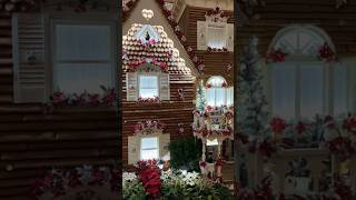 Disney’s Grand Floridian Gingerbread House 2023 disneyworld grandfloridian gingerbreadhouse [upl. by Sire186]