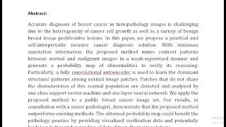 Discriminative Pattern Mining for Breast Cancer Histopathology Image Classification via Fully Convol [upl. by Ahsinauq910]