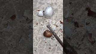 Casting Melting Aluminum into Shells shorts shortvideo reels [upl. by Amat]