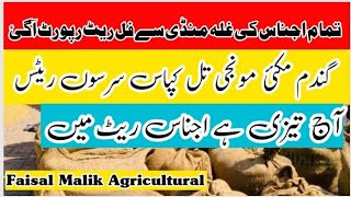 gandam rate today Maki rate cotton rate til rate today sesame price mandi rates غلہ منڈی ریٹ [upl. by Rickert]