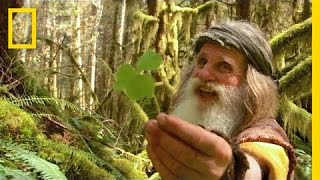 Meet Mick Dodge  The Legend of Mick Dodge [upl. by Mena]