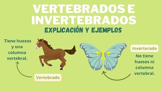 LOS ANIMALES VERTEBRADOS E INVERTEBRADOS [upl. by Bernadina]