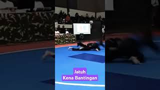 Pencak Silat Fight Jatuhansah Bantingan dennywewey9649 [upl. by Hnacogn]