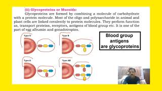 Chapter 1  Biological molecules  part 28  Conjugated molecules sindhtextboard [upl. by Lenoil517]