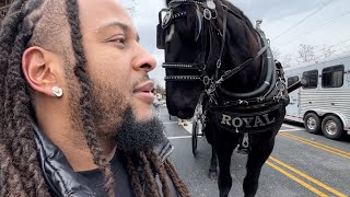 I Rode The Biggest Horse In The World  FullTime YouTuber VLOG  Jus Cheer Parade [upl. by Low]