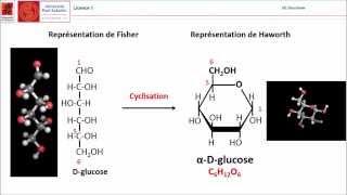 Cyclisation de glucose Université Paul Sabatier Toulouse [upl. by Lladnik]