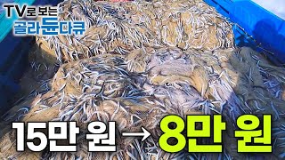 어획량 2배 3년 만에 대풍어 맞고 가격까지 대폭락한 겨울철 제철 생선｜20191127｜바다의 보물 만선 양미리잡이｜극한직업｜골라듄다큐 [upl. by Lisab]