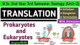 Translation in Prokaryotes and Eukaryotes  Initiation Elongation and Termination of Translation [upl. by Aniram90]