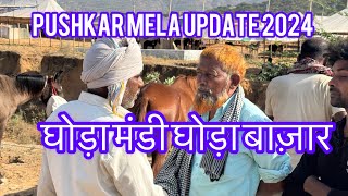 Pushkar mela update 2024 Pushkar mela live [upl. by Deyes152]