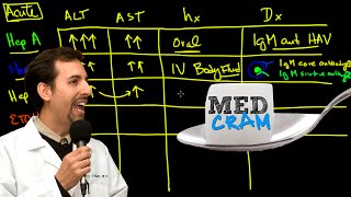 Liver Diseases Explained Clearly Acute vs Chronic Hepatic Diseases [upl. by Tice]