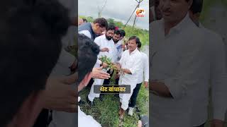 CM Eknath Shinde मुख्यमंत्री शेतकऱ्यांच्या बांधावर   farmer maharashtra shorts [upl. by Nytsrik]