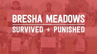 Bresha Meadows Survived and Punished [upl. by Akela]