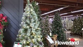 Flowerland Christmas 30 Spot 2023 [upl. by Walrath793]