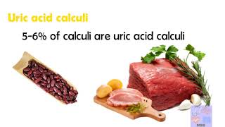 Types of Renal calculi and their characteristicsMedicine basics simplified [upl. by Antebi561]