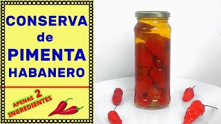 como fazer CONSERVA de PIMENTA HABANERO no AZEITE ou ÓLEO receita super facil [upl. by Samanthia]