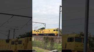 Double 2800s at Coorparoo hornshow railway shorts [upl. by Noletta]