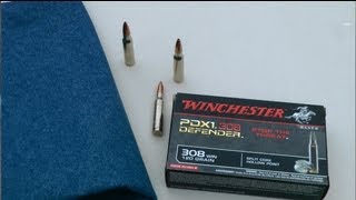 Winchester PDX1 308 Gel Test [upl. by Charleton]