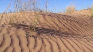 Reserva del Pinacate y Gran Desierto de Altar [upl. by Notla341]