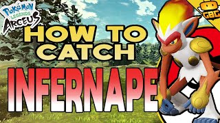 How to Get Infernape in Pokemon Legends  Arceus Infernape Location [upl. by Leahcimauhsoj]