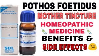 POTHOS FOETIDUS MOTHER TINCTURE HOMEOPATHIC MEDICINE BENEFITS amp SIDE EFFECTS [upl. by Htebiram]