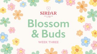 Sirdar Blossom amp Buds Crochet Along Week 3  Rows Of Tulips [upl. by Shields]